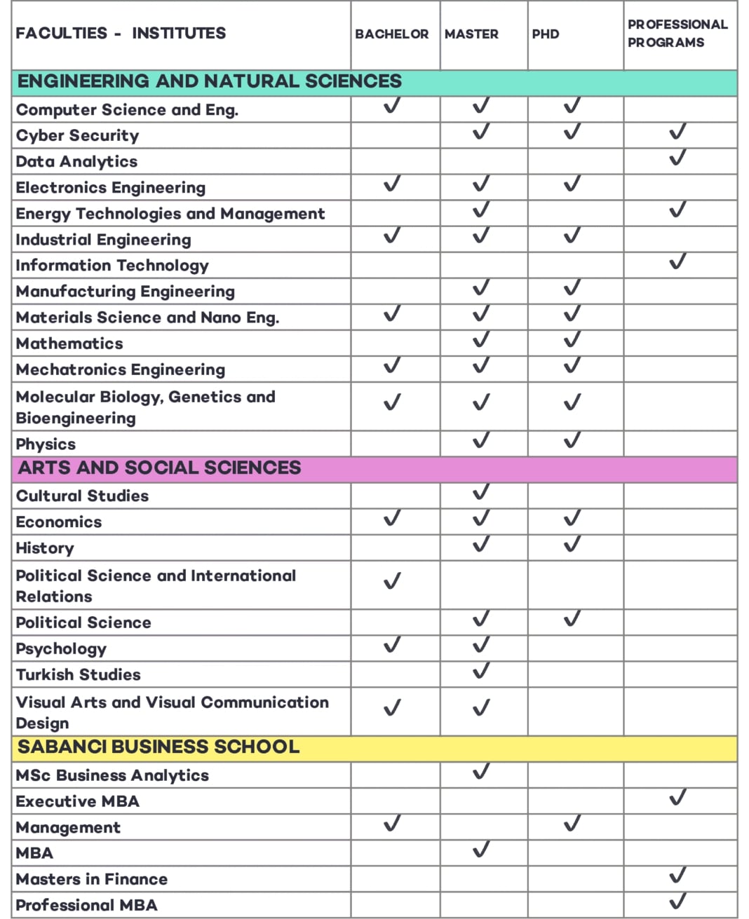 Sabanci University Scholarships Fields